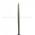 stainless steel Ground Screw