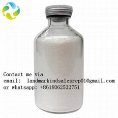 Cinnamoyl chloride