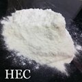 HEC full name: Hydroxyethyl Cellulose