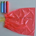 Biodegradable Compostable Bag 2