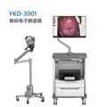 数码电子阴道镜YKD-3001