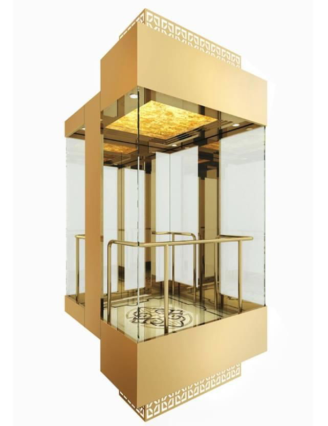 2020 New Design Passenger Elevator Lift with Local Installation Support