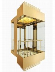 2020 New Design Passenger Elevator Lift with Local Installation Support