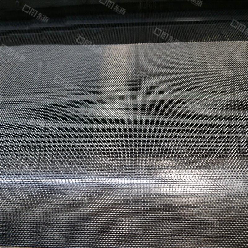 316 Grade Stainless Steel Mesh Powder Coating Security Screen 4