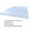 Honeycomb Polycarbonate Sheet