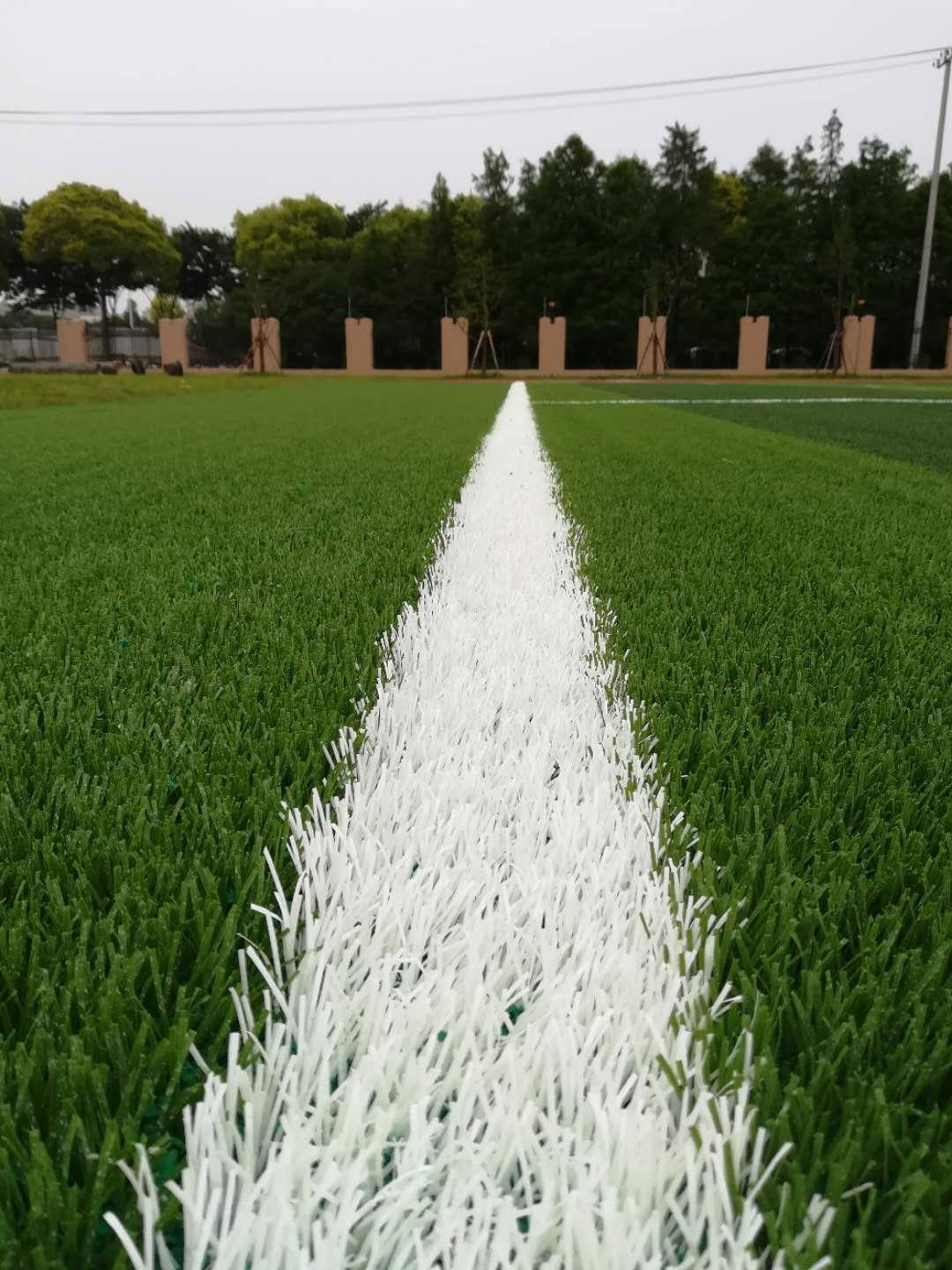 美创免填充足球场C型人造草坪