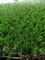 8 years warranty UV resistant natural looking artificial grass for landscape 3