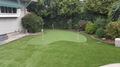 No any LINES or STREAKING perfect golf putting green grass