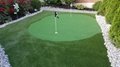 No any LINES or STREAKING perfect golf putting green grass