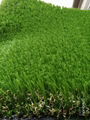 35mm natural looking and soft touching artifical grass for kids and pets 1