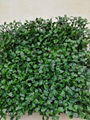 New fresh PE 3-5 years warranty artificial boxwood hedge fence panel for garden