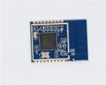 WT5515-M1 based GR5515 used in IOT smart