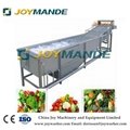 Commercial Use Apple Cherry Tomato Peach Date Apricot Washing Machine