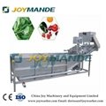 Industrial Vegetable And Fruit Air Bubble Washing Machine Air Bubble Washer