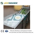 Industrial Vegetable And Fruit Air Bubble Washing Machine Air Bubble Washer