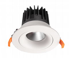 LED Downlights Home Lights