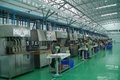 Fully automatic Paper pulp food plate making machine Production Line