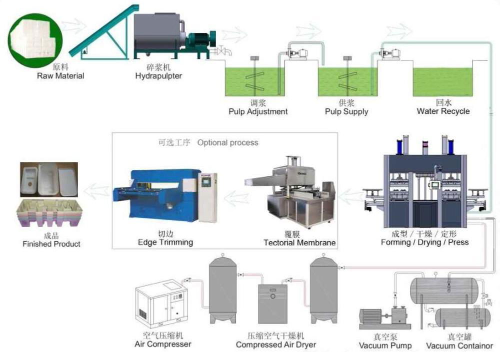 Fully automatic Paper pulp food plate making machine Production Line 2