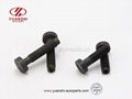 Non Standard Round Head Frange Special Bolts 1