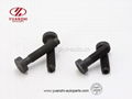 Non Standard Round Head Frange Special Bolts