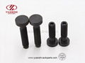 Non Standard Round Head Frange Special Bolts