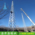 廠家供應20米25米30米35米40米鋼結構避雷塔 4