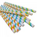 Hot sell Biodegradable paper straws 1