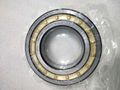 Cylindrical roller bearing 1