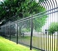 Curved Top Steel Fence 2