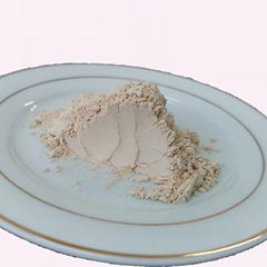 Rice protein powder Brown rice protein