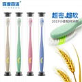 Factory price international  wheaten  adult toothbrush 4