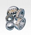 Spherical Roller Bearings 1