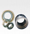 Cylindrical Roller Bearings