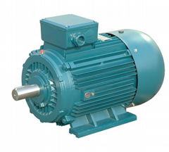 Variable frequency motor Explosion proof