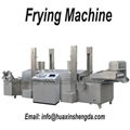 Continuous Fryer 1