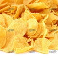 Corn Flakes Making Machine Processing