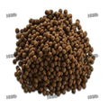 Animal Pet Fish Feed Pellet Extruder