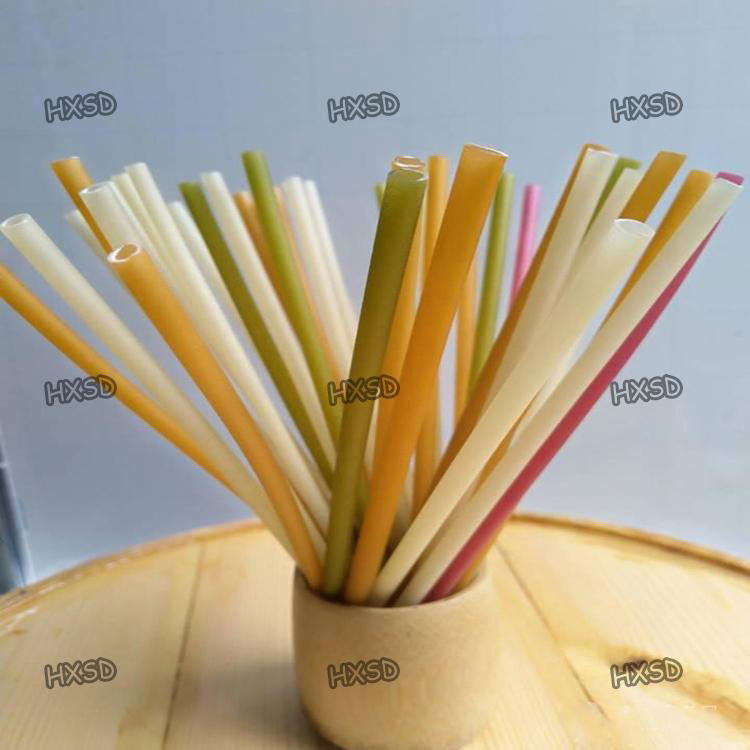 Biodegradable Edible Ecoware Rice Tapioca Drinking Straw Making machine 2