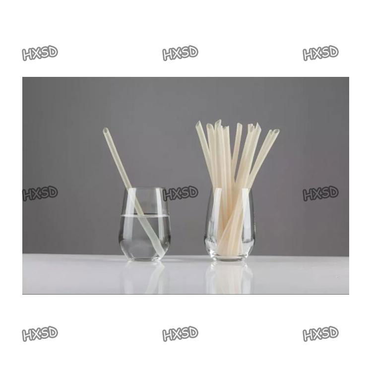 Biodegradable Edible Ecoware Rice Tapioca Drinking Straw Making machine 3