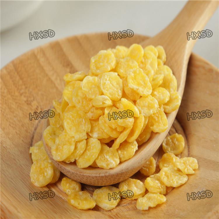 China Full Automatic Corn Flakes Processing Machine 2