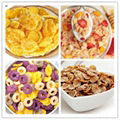 Factory Supply Breakfast Cereal Corn Flakes Making Machine 2