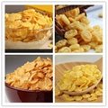 China Full Automatic Corn Flakes Processing Line