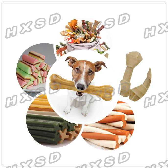 Dog Food Chews Making Machine Extruder Devcie Production Line 2