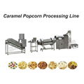 Automatic Popcorn Production Processing