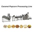 Automatic Popcorn Production Processing Making Line
