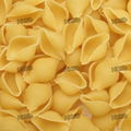 Macaroni Pasta Making Production Extruder 4