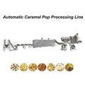 New Condition Full Automatic Popcorn Processing Line