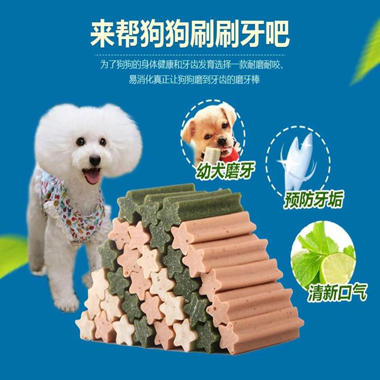 Dog Chews Processing Machine Dog Chewing Treats Gum Food Extruder 2