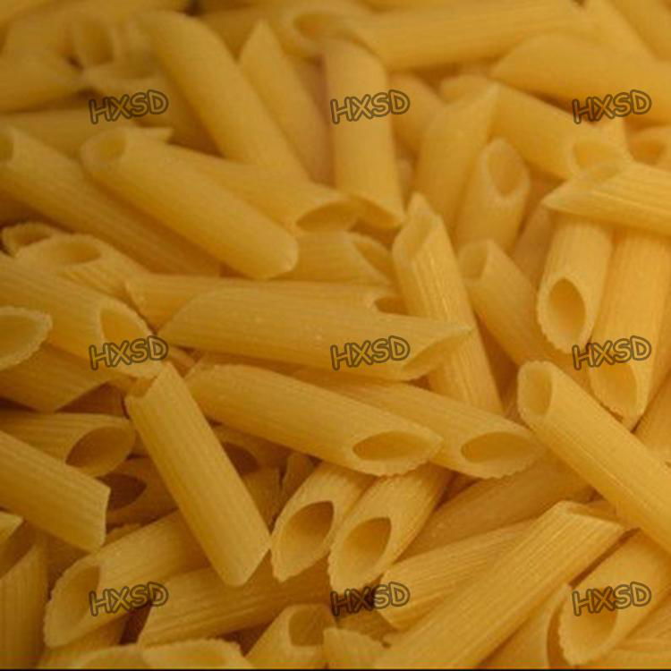 HOT SALE Macaroni Pasta Extruder 2