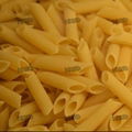 HOT SALE Macaroni Pasta Extruder 2